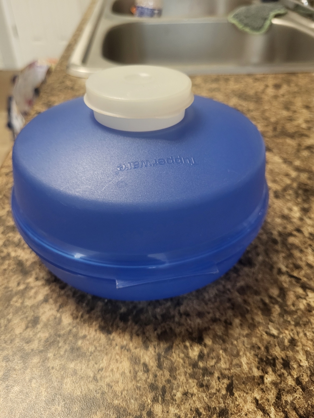 Tupperware Bagel Container - Picture 2 of 4